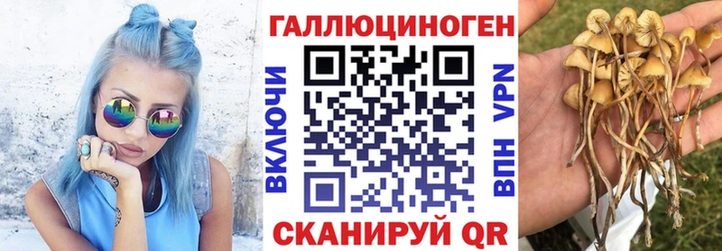 площадка состав  Ревда  Галлюциногенные грибы GOLDEN TEACHER  наркота 